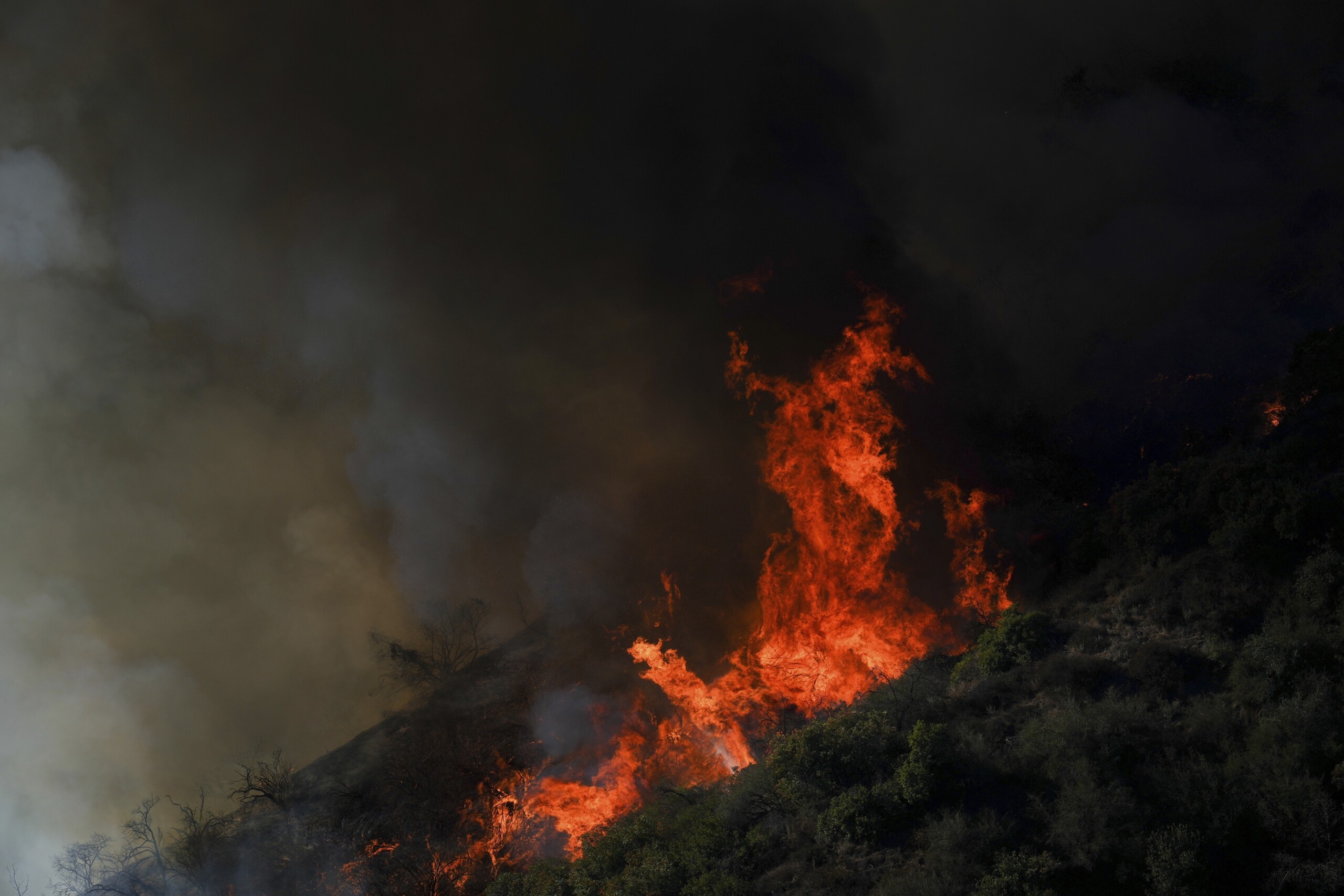 los angeles fires james woods house saved its a miracle scaled