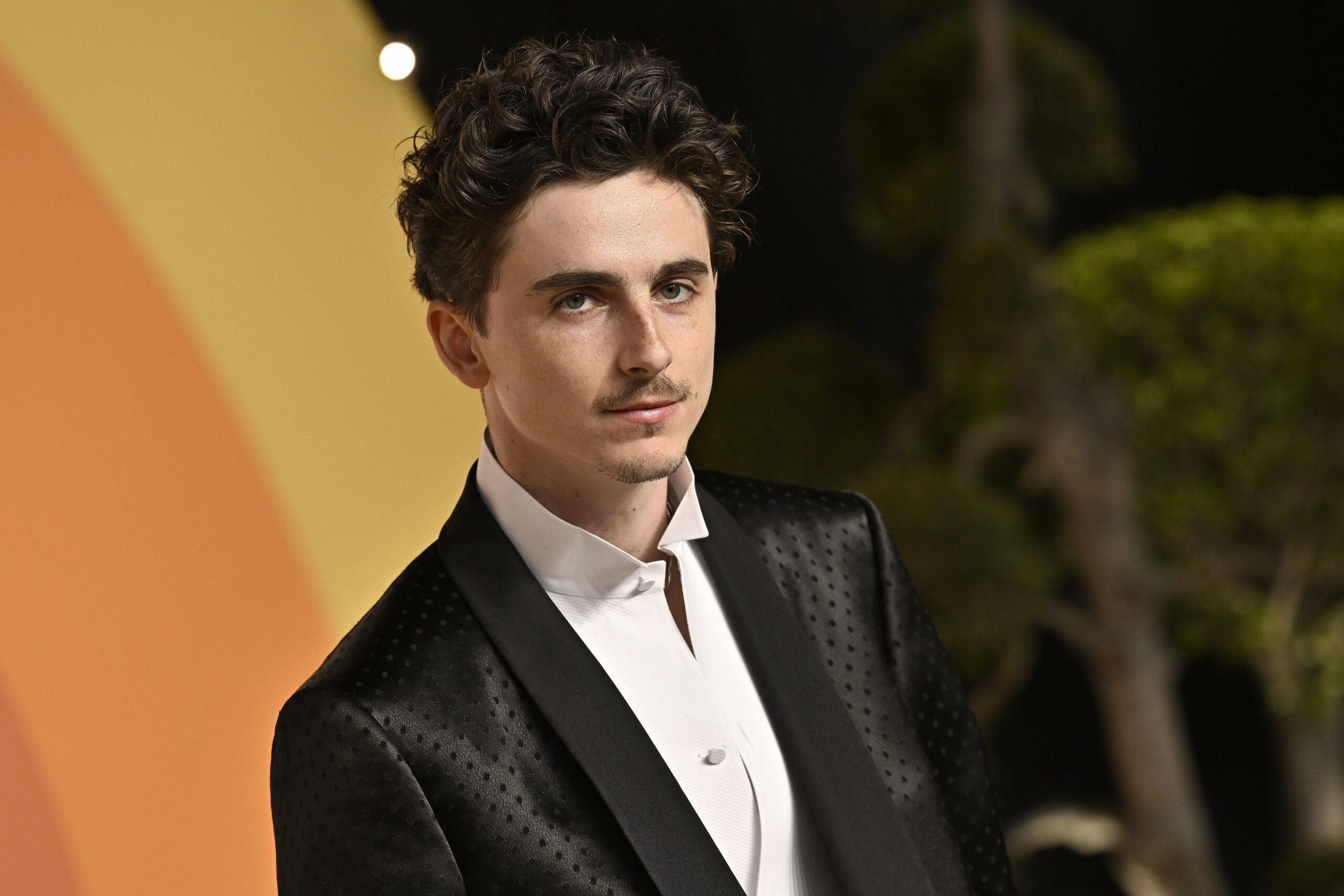 david di donatello timothee chalamet will receive the special award scaled