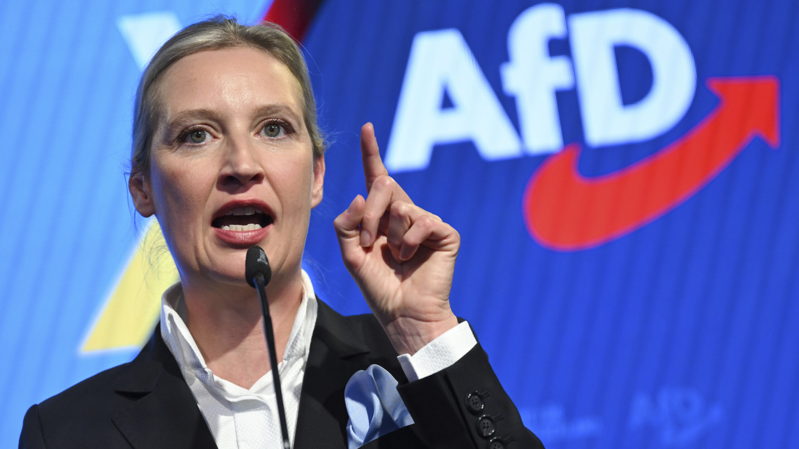 germany intelligence temporarily suspends classification of afd as far right extremist scaled