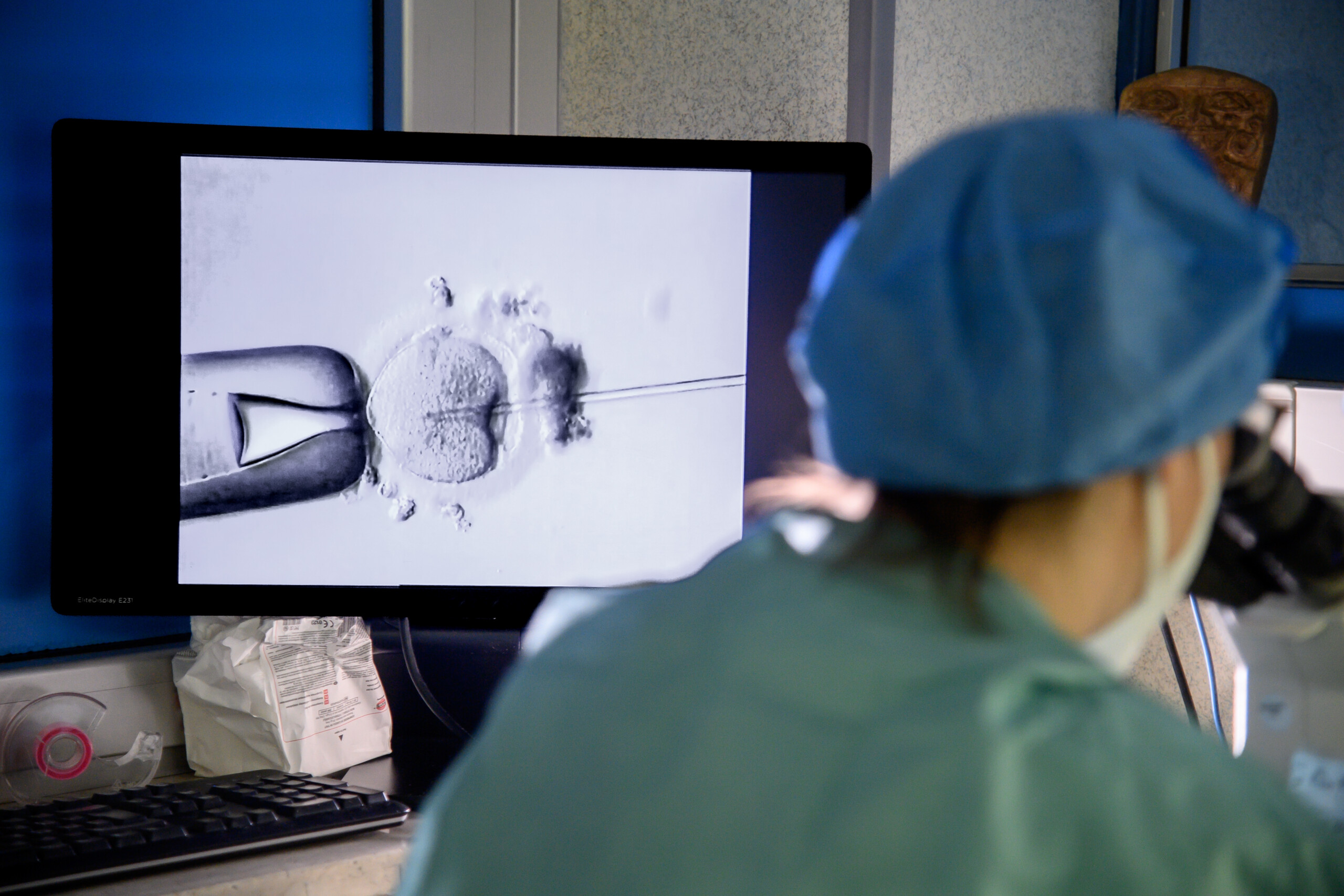 assisted reproduction the council even an intentional mother can recognise her child scaled