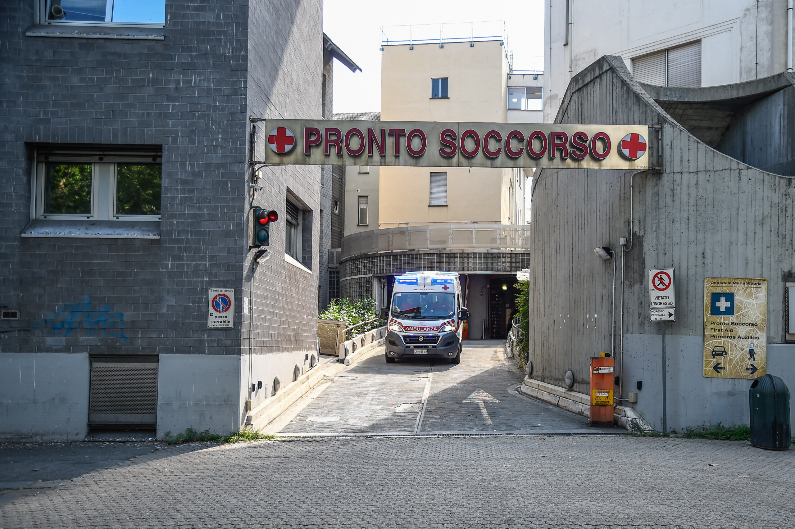 pistoia grandmother and granddaughter seriously injured in attack by 3 pit bulls scaled