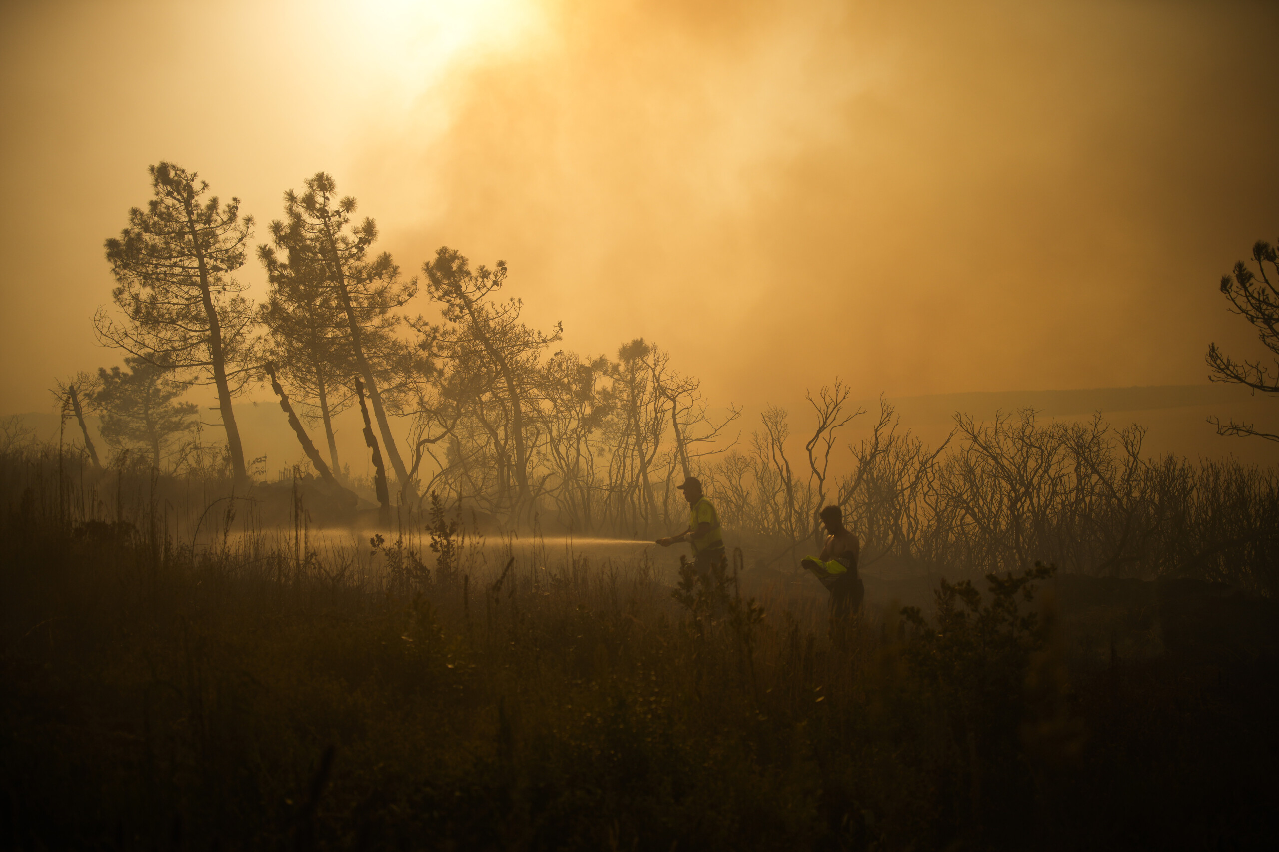 turkey gripped by wildfires evacuations underway in izmir province scaled
