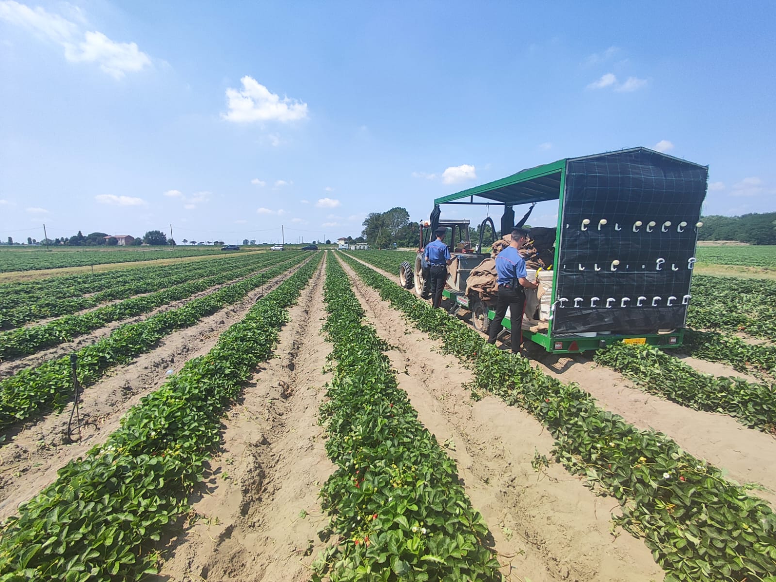 workplace accident 44 year old woman crushed by tractor dies in the ferrara area