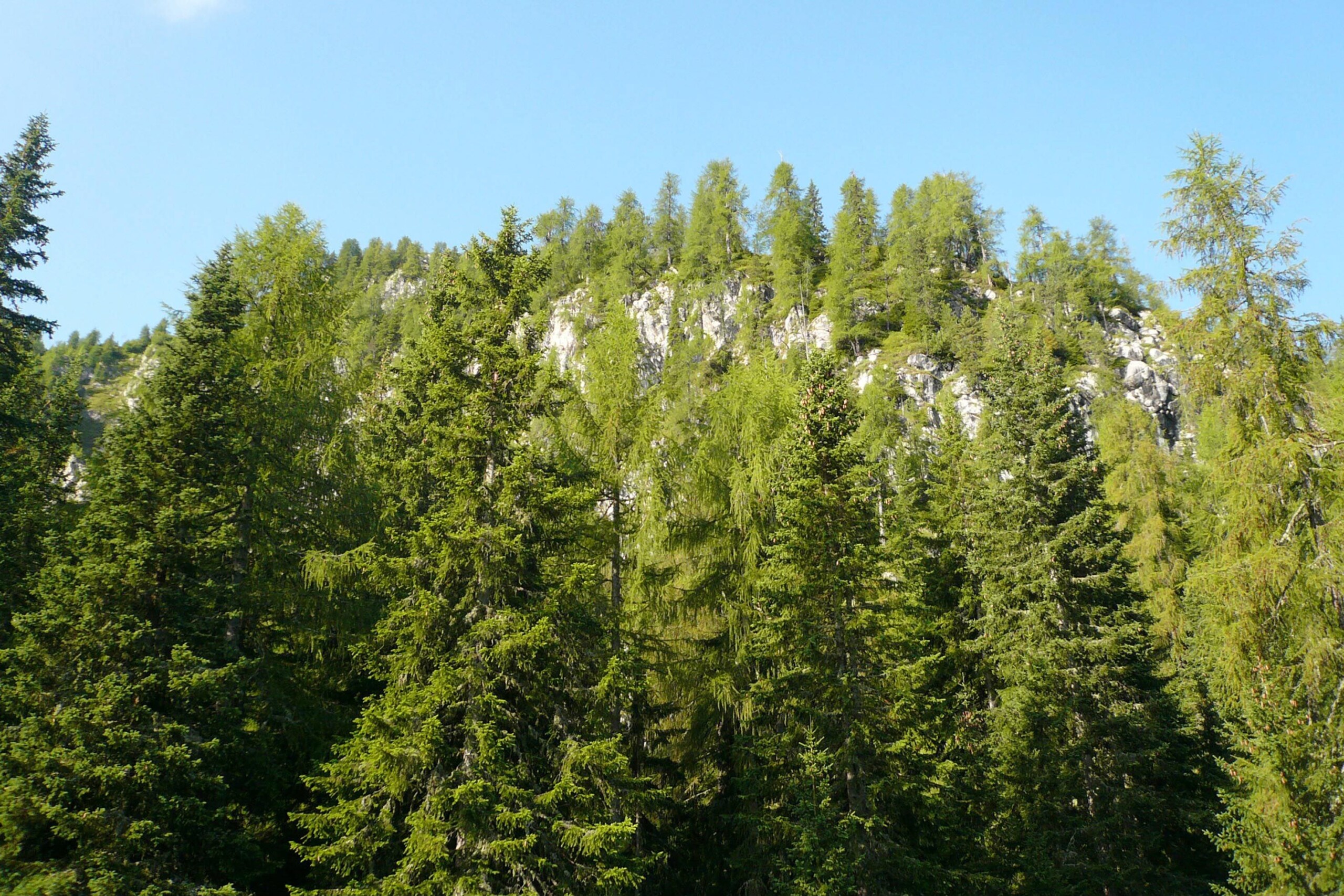 mountains 21 year old missing since yesterday found dead in piedmont scaled