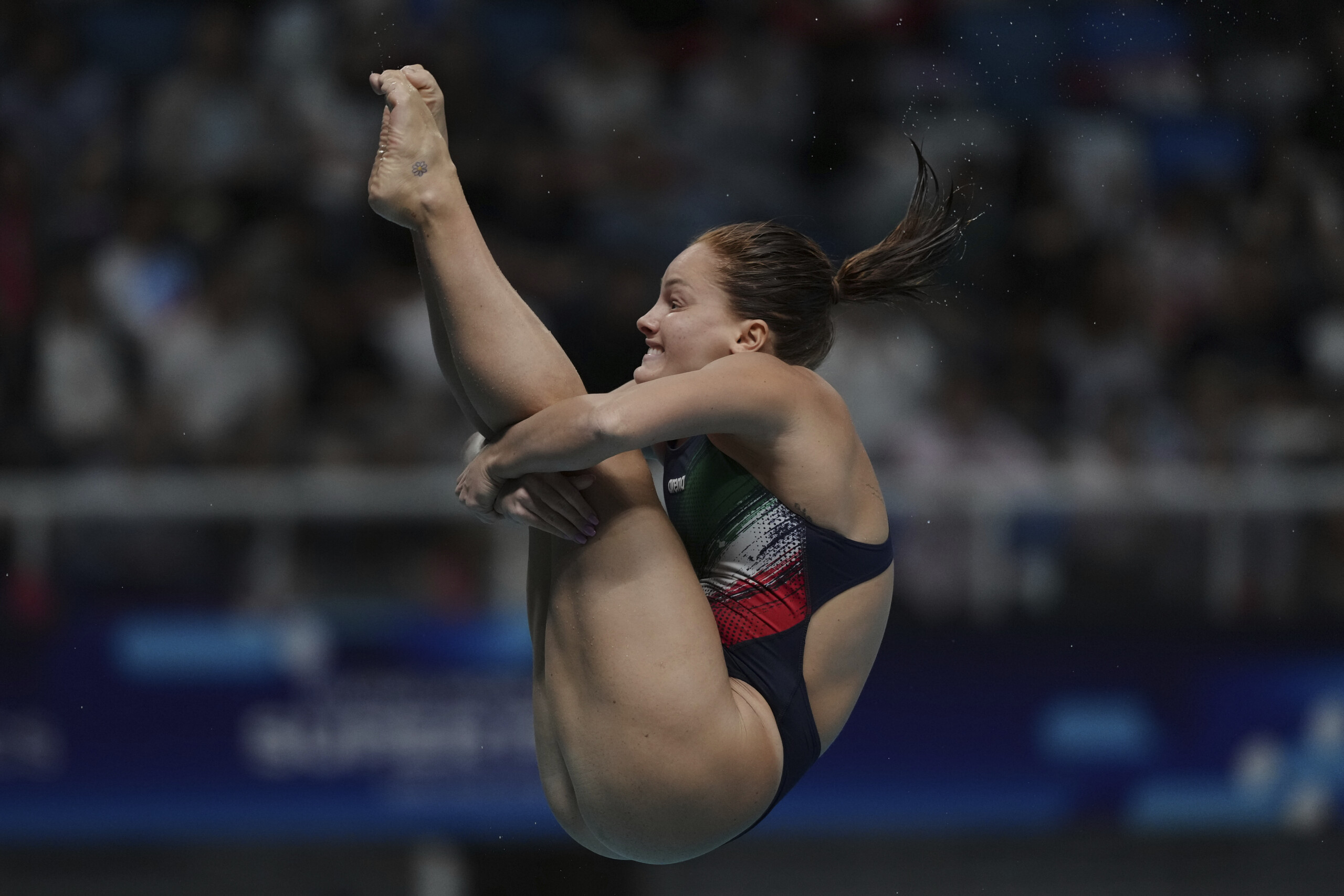 swimming world championships pellacani in the final from the one metre bertocchi out scaled