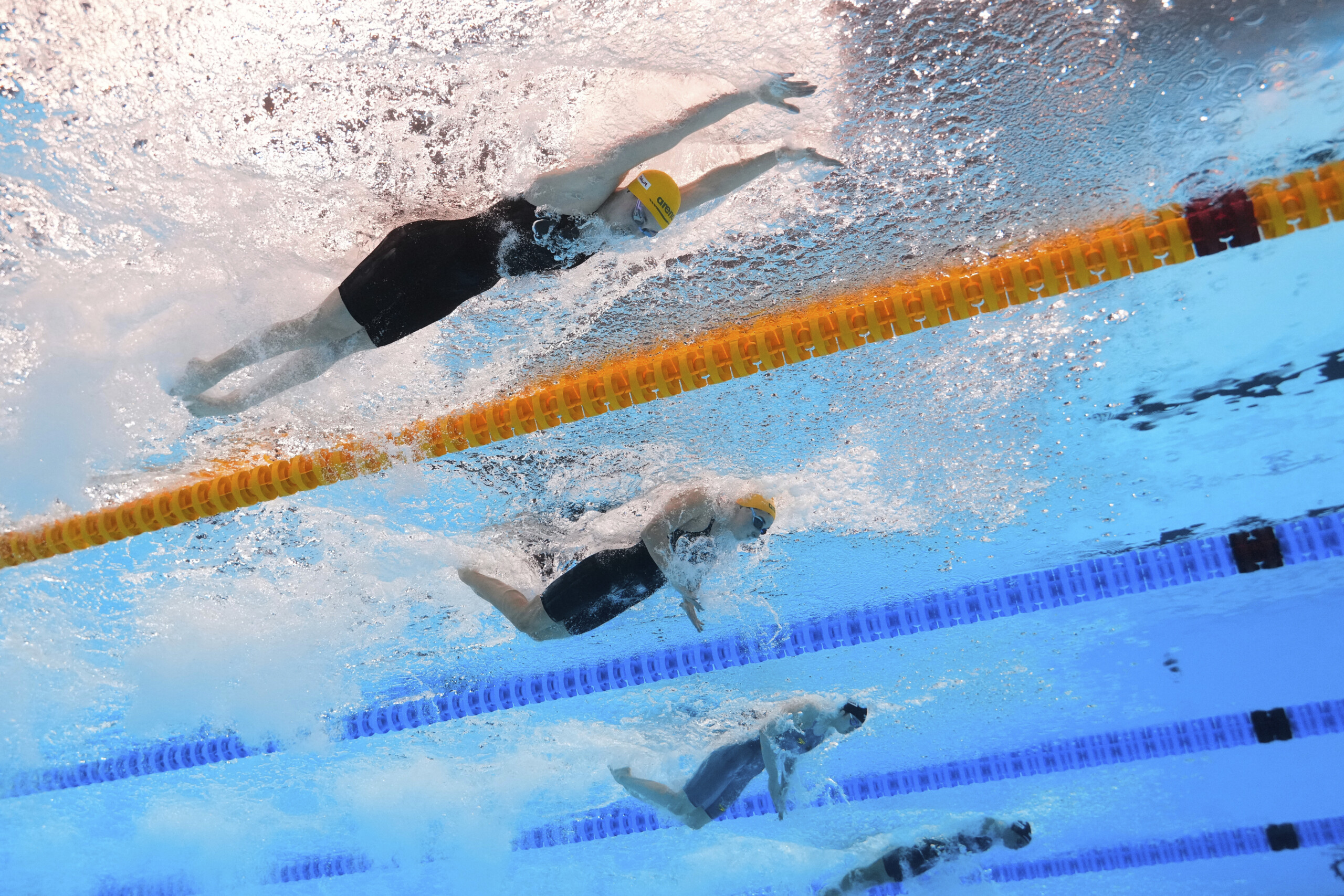 swimming world championships di pietro in the 50m butterfly final scaled