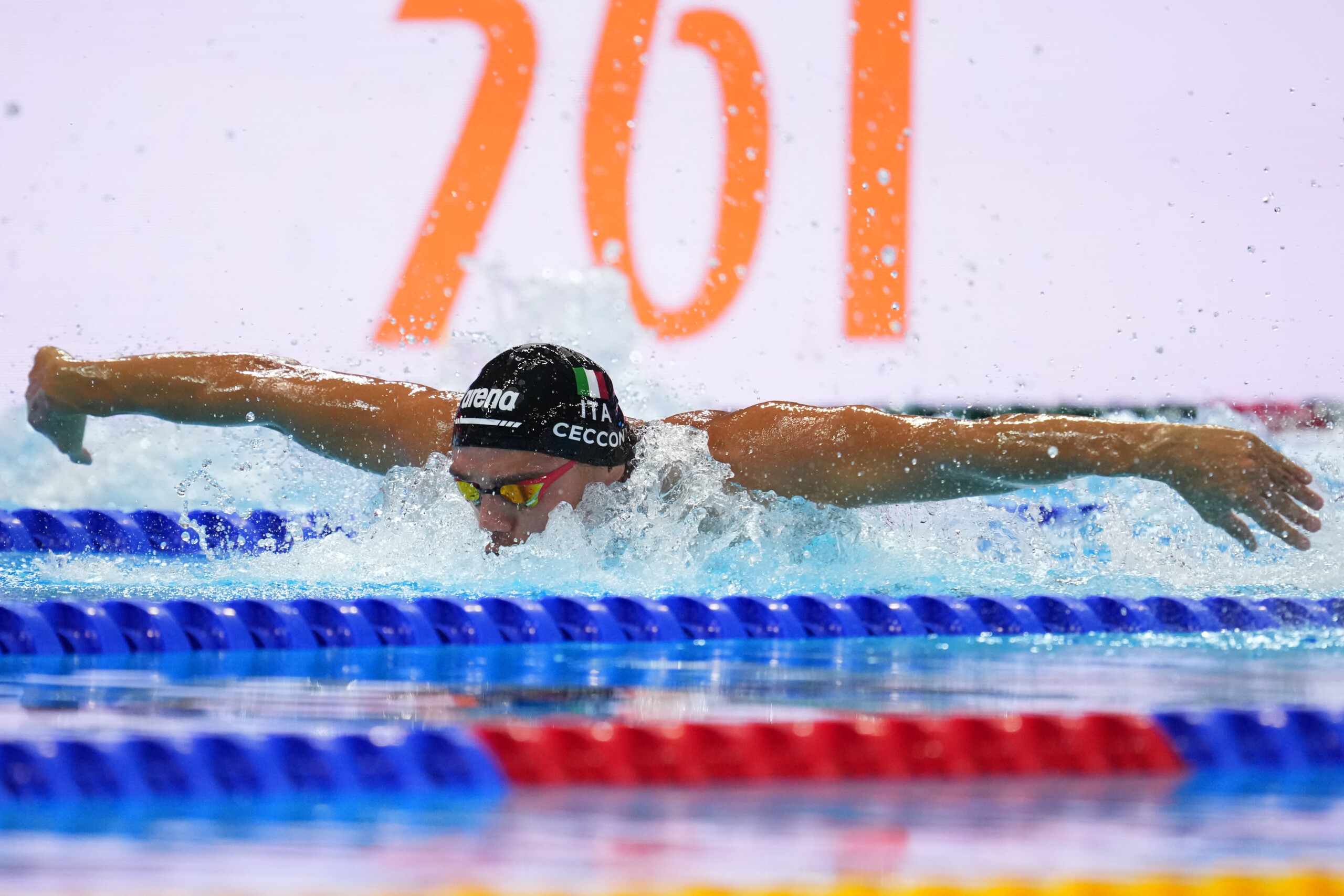 swimming world championships in singapore ceccon eighth in the 100m butterfly final gold for grousset scaled