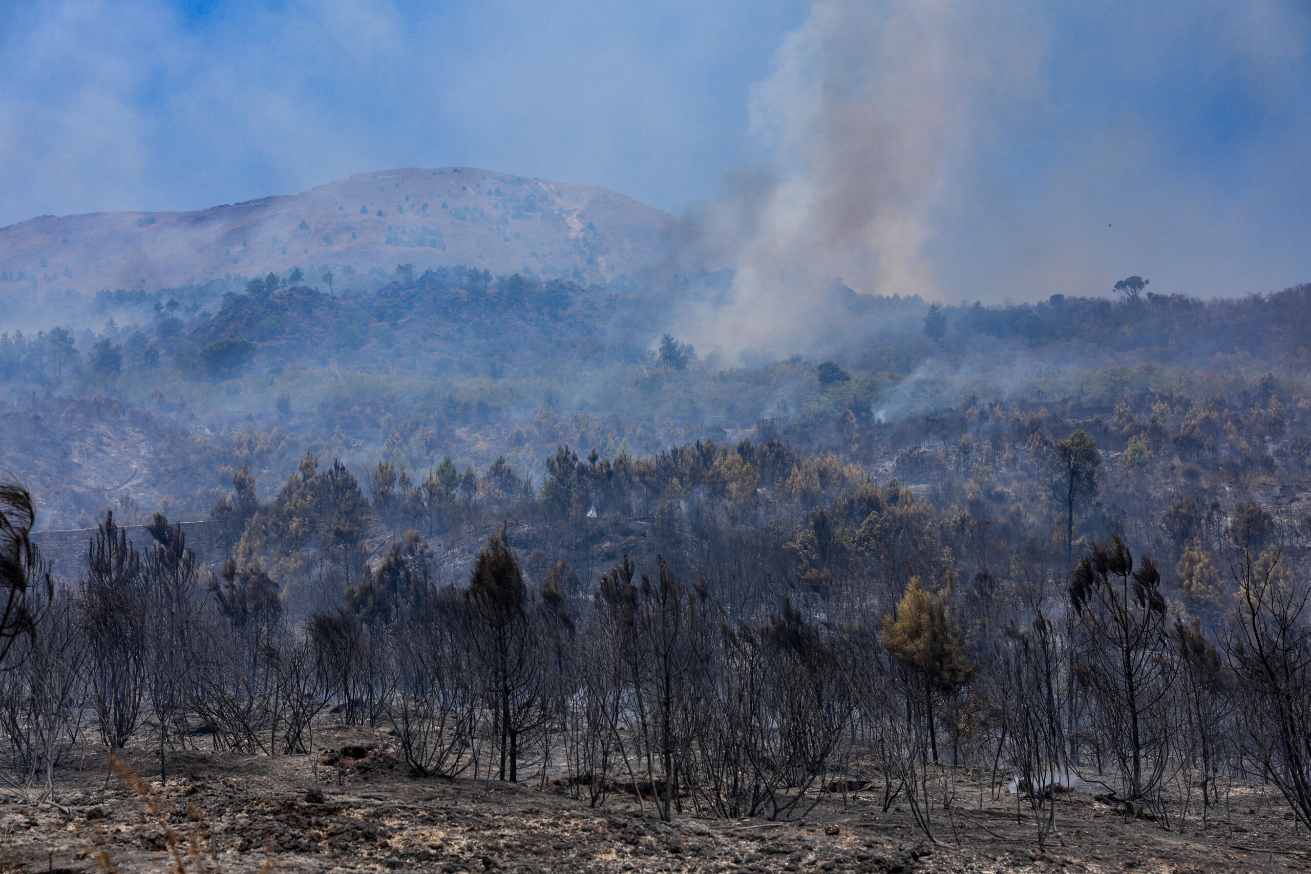 fires and flames under control on mount vesuvius clean up operations begin scaled