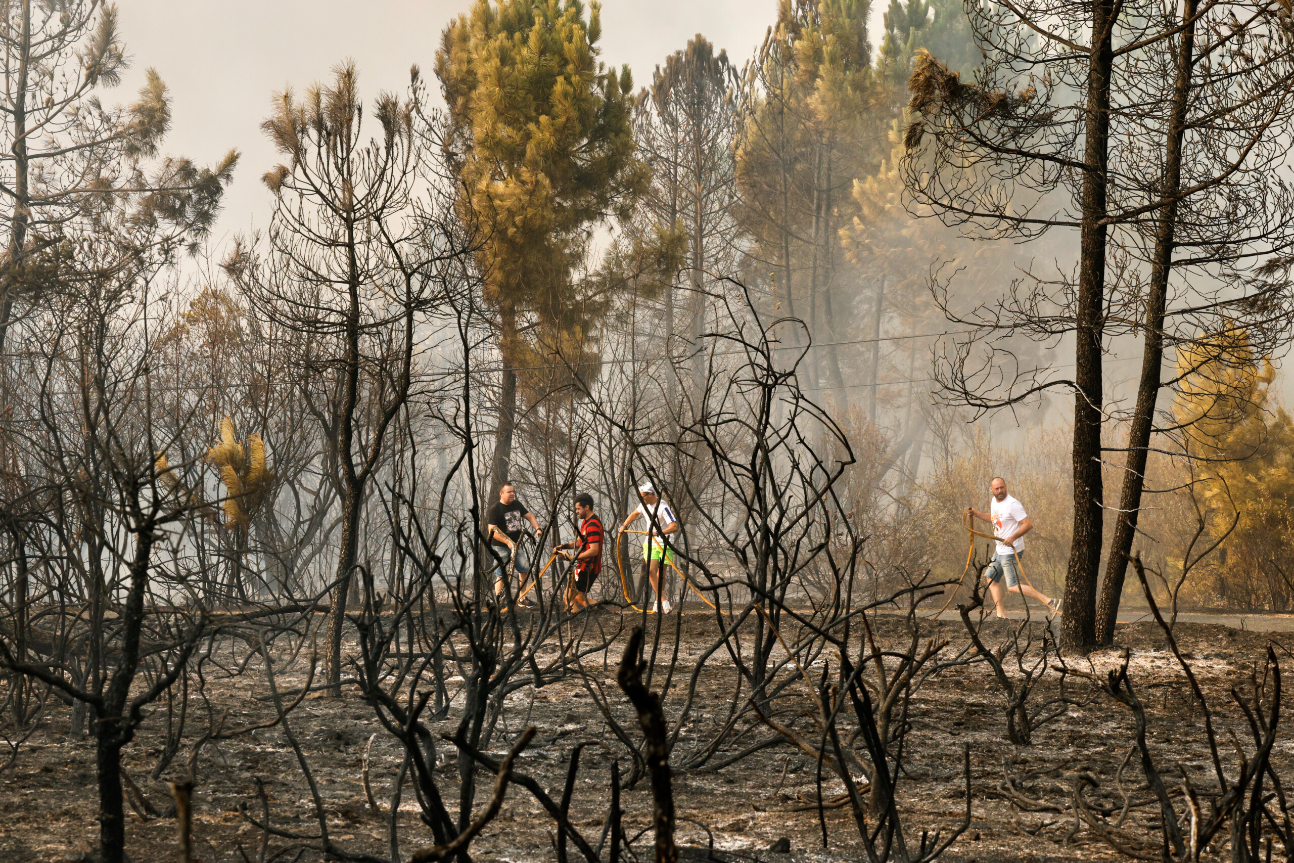 spain man arrested for six forest fires in malaga scaled