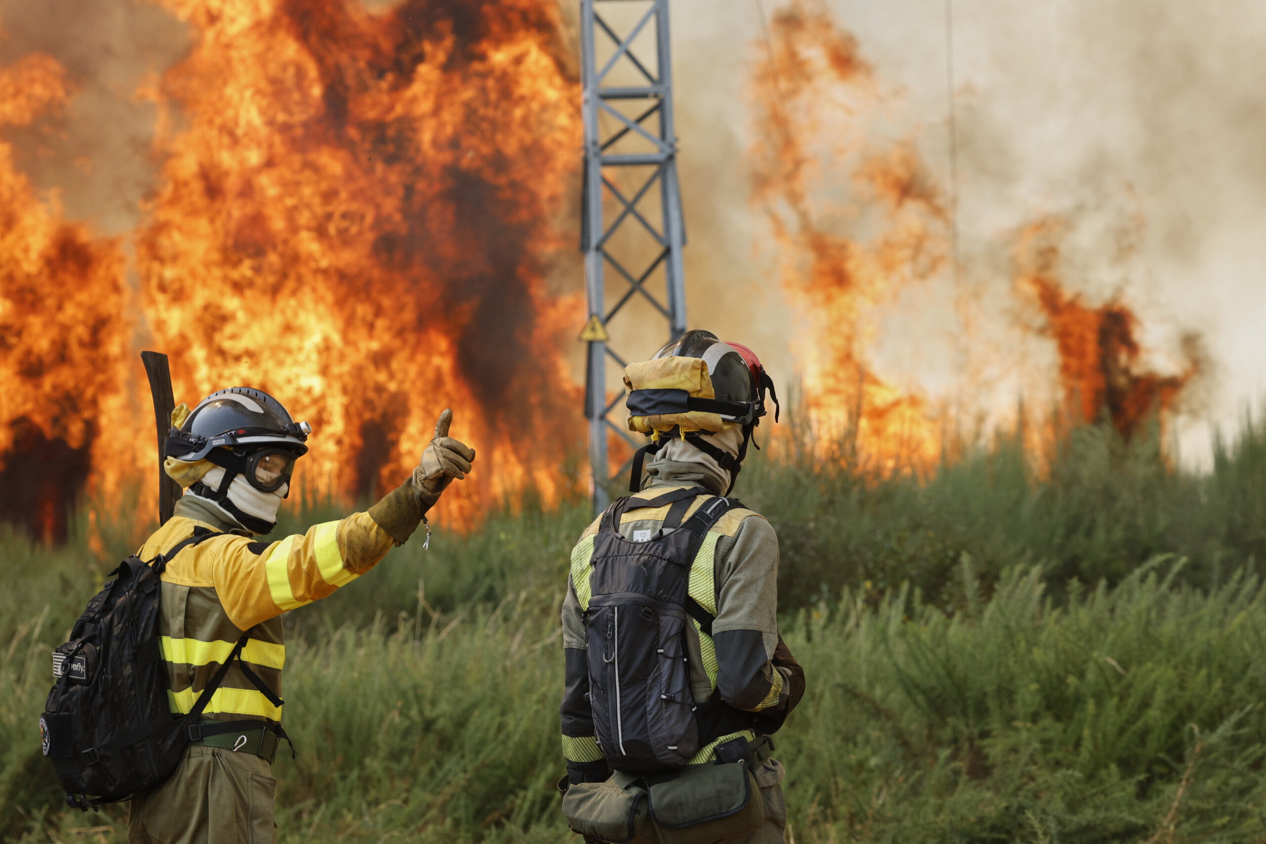 forest fires in spain 340000 hectares burned scaled