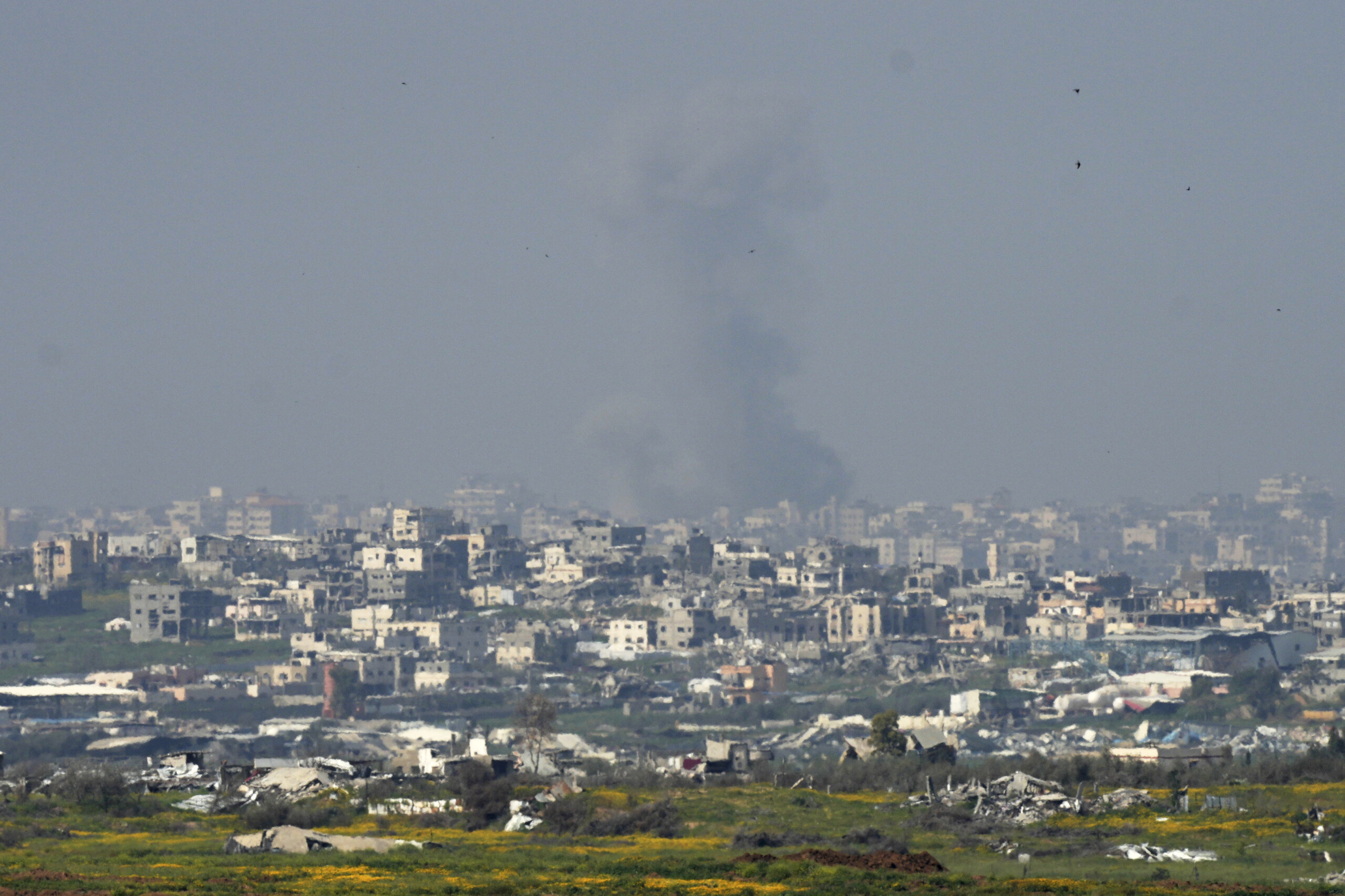 gaza authorities 63 victims in israeli attacks in the last 24 hours scaled
