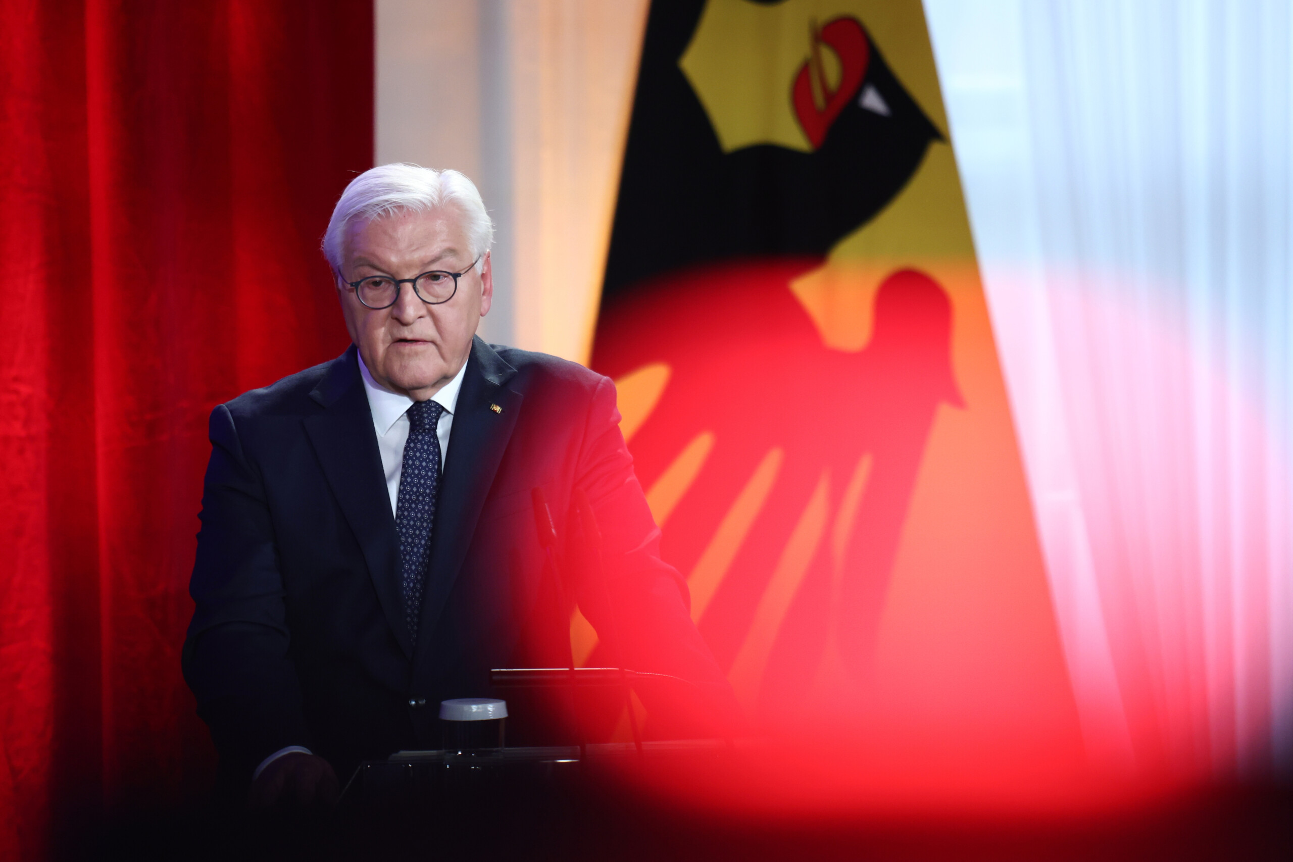 germany steinmeier warns of risks to democracy harsh reaction from afd scaled