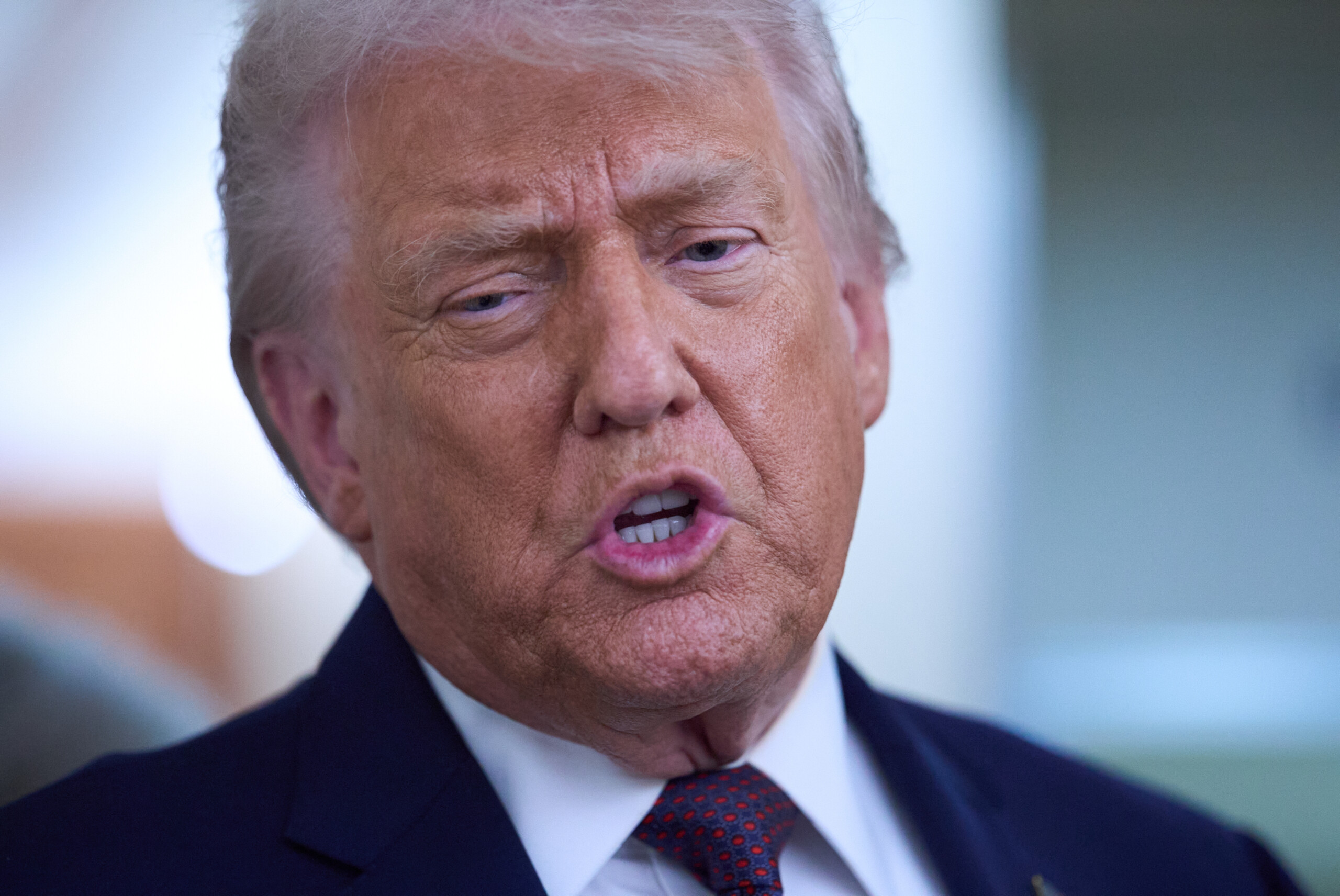 us trump let ice patriots do their job scaled