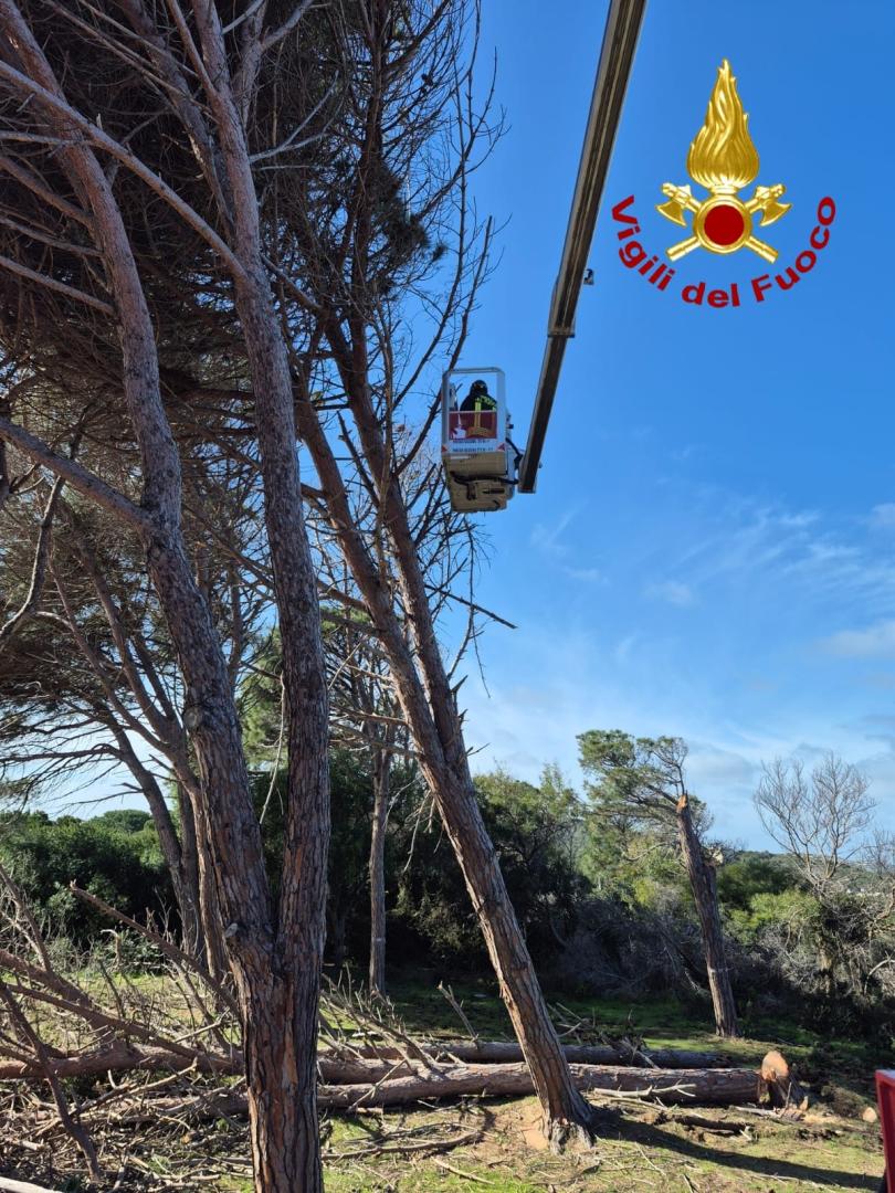 Bad weather, wind and rain: over a thousand interventions in Sardinia 1 bad weather wind and rain over a thousand interventions in sardinia
