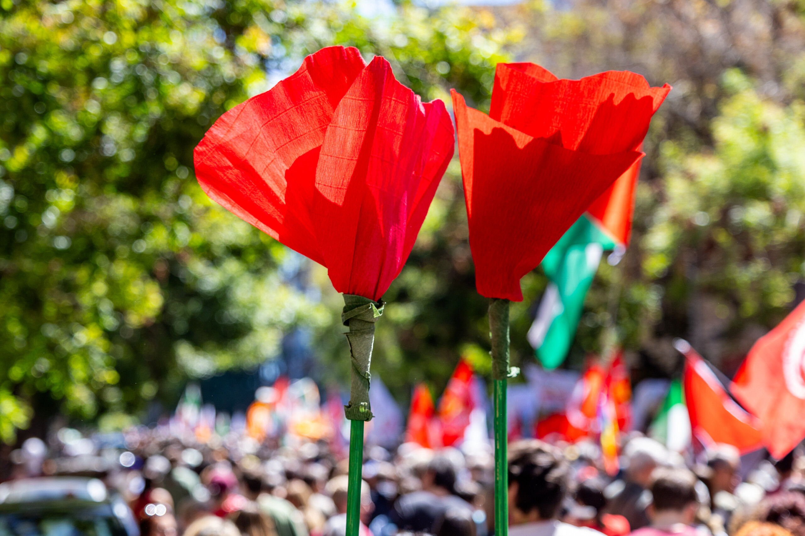 25 april air gun shots fired in schuster park couple injured scaled