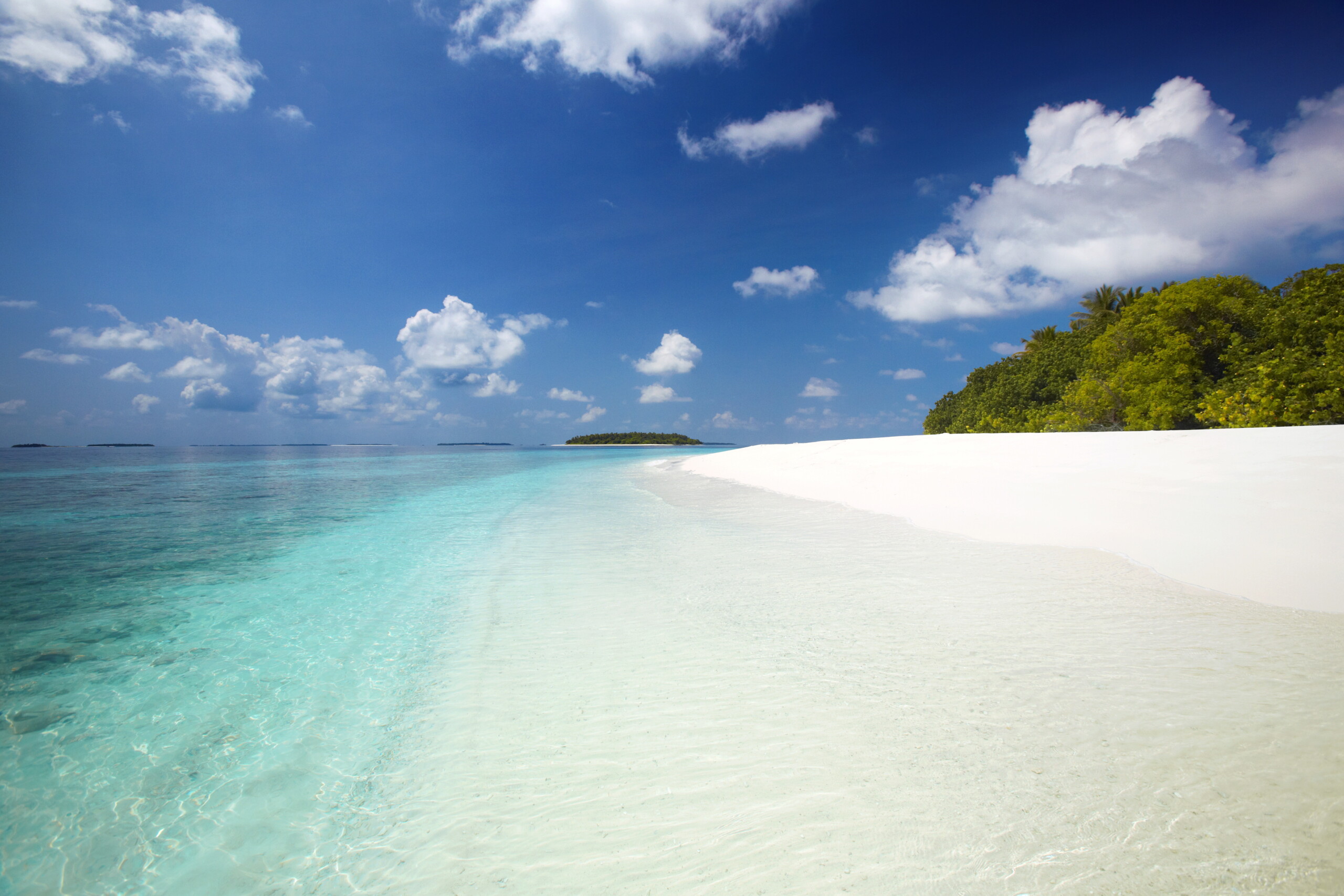 maldives five italians die whilst scuba diving scaled