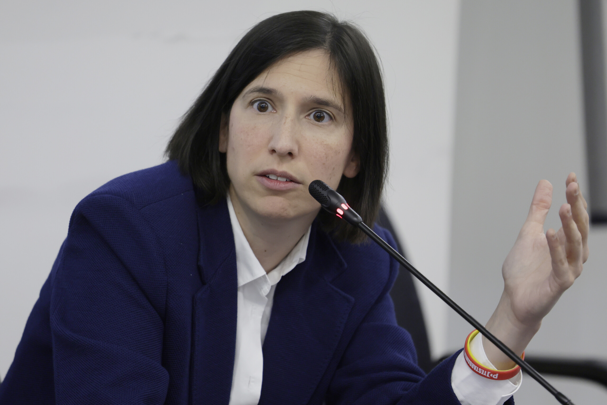 schlein sees sanders effort against oligarchs and authoritarianism scaled