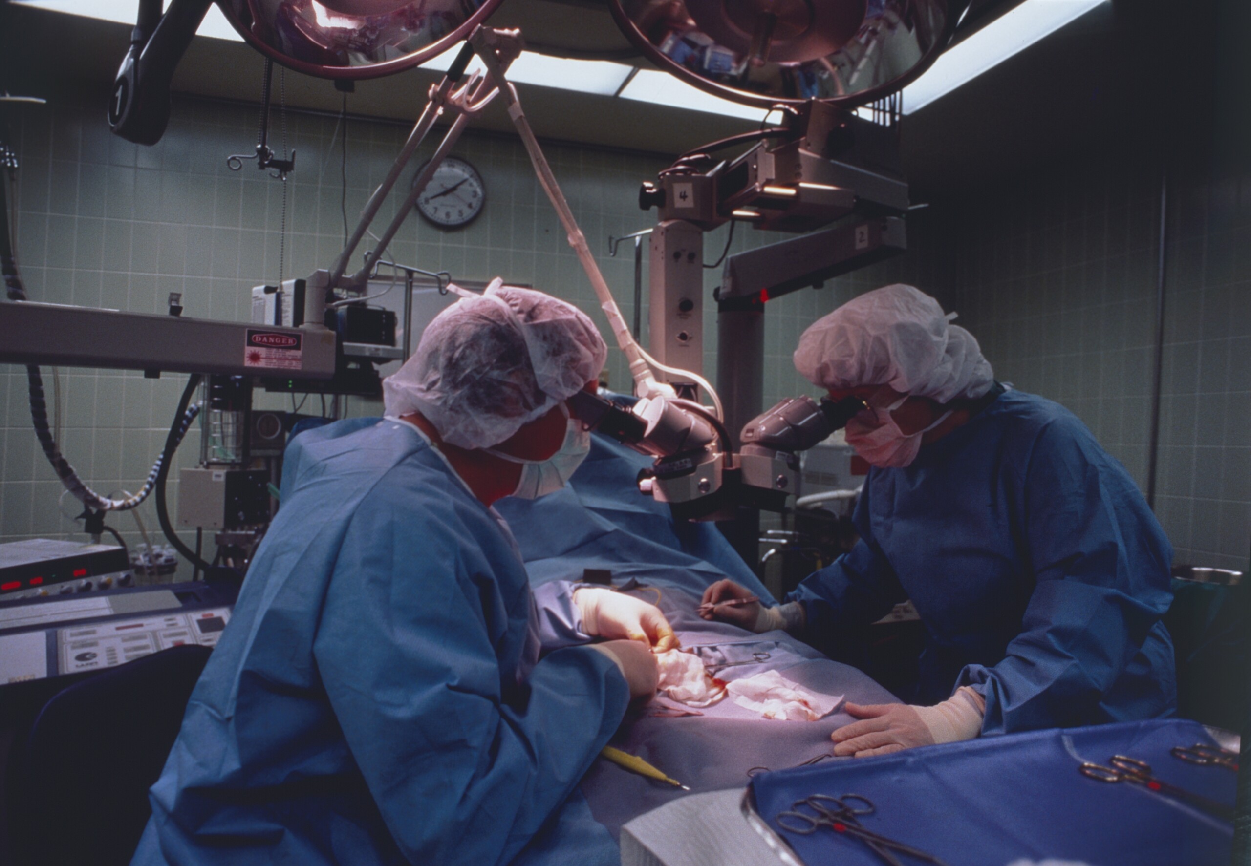salerno 10 kilo tumour successfully removed scaled