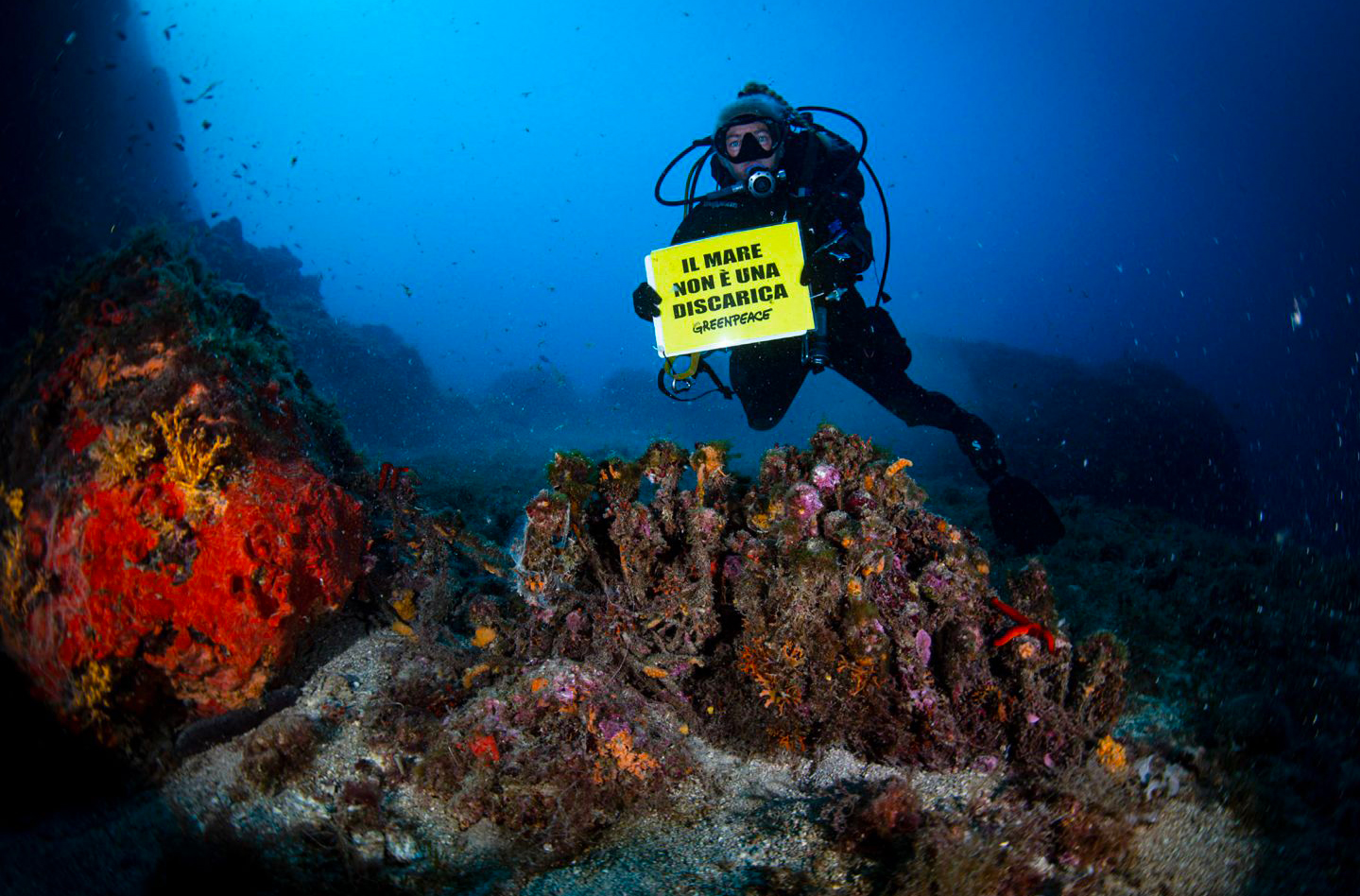 maldives the bodies of four italian divers have landed at malpensa