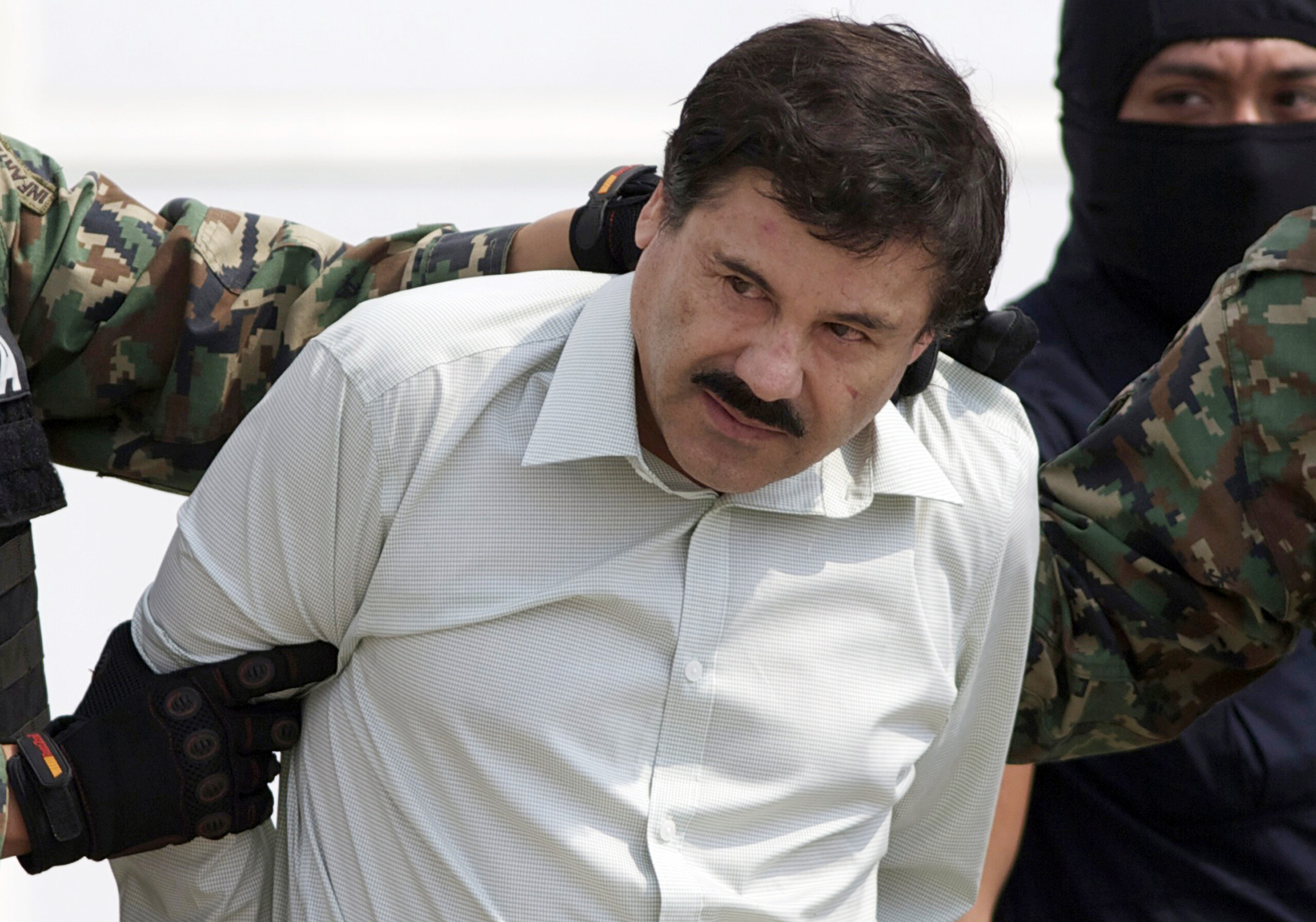 Mexico: “El Chapo” Guzmán's nephew arrested; he is wanted by the US 1 mexico el chapo guzmans nephew arrested he is wanted by the us scaled